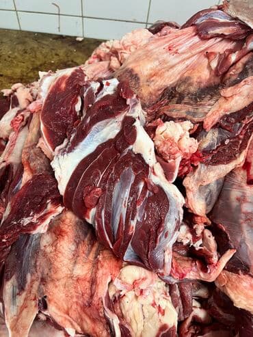 мясо говядина цена за кг: Говядина : 5 кг, Фарш, Бесплатная доставка — 3