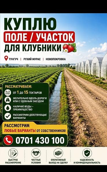 куренкеева усенбаева: Суу — 1
