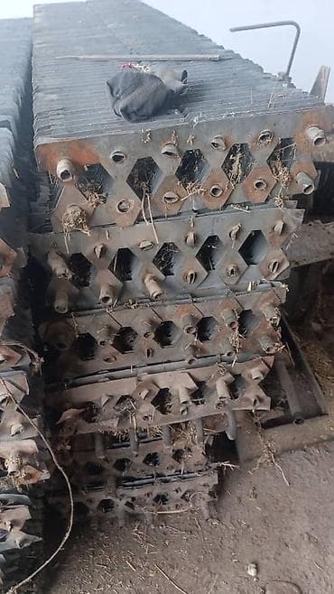 саман буудай: Зерно пшеницы, подходящее для различных сельскохозяйственных нужд — 1