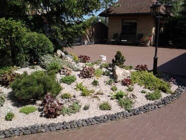 обмен на комнатные растения: Обрезка плодовых и декоративных деревьев, винограда,роз и других — 3