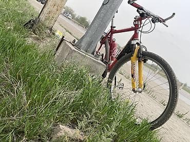 покрышка: Горный велосипед, Рама L (172 - 185 см), Б/у — 3