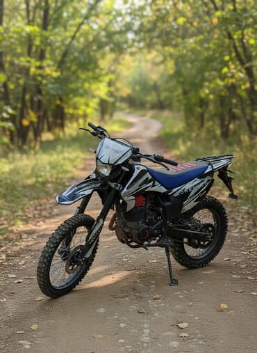 Эндуро 300 куб. см, Бензин