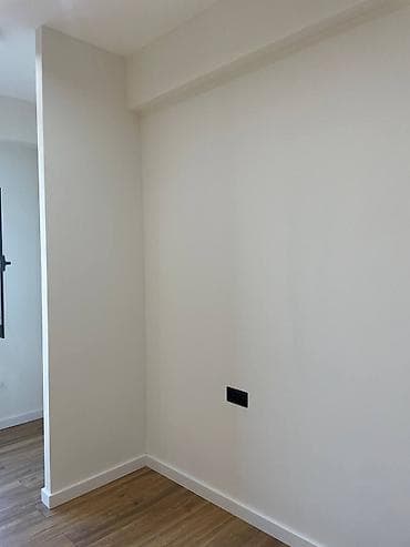 Шаймандарды ижарага алуу: Дубалдарды сырдоо, Шыптарды сырдоо, Майдын негизинде, Суунун негизинде, 6 жылдан ашык тажрыйба — 6