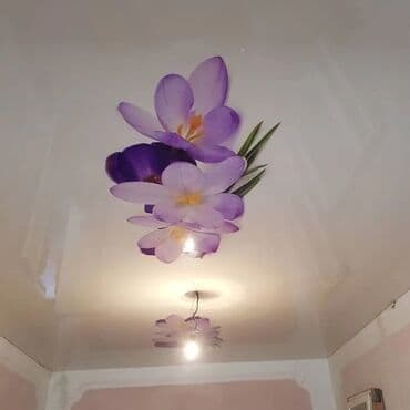 Дизайн, проектирование: Натяжной потолок Глянцевое, Матовое, 3D потолки Гарантия, Бесплатная консультация, Бесплатный замер — 12