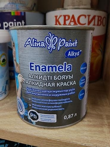 solutions third edition: Алкидная эмаль Alina Paint Alkyd, 0,87 л. Назначение: - Для — 1