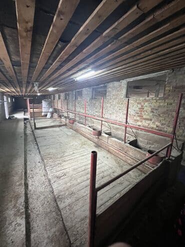 дом совхоз фрунзе: Сдаю Конюшню в перспективном районе для содержания лошадей и быков — 4