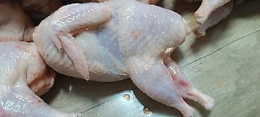 Чай, кофе, напитки: Перепелиное мясо отдадим бесплатно !!! У нас шикарные тушки весом — 1