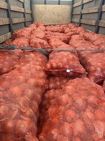 термометр воды: Лук Бесплатная доставка — 5