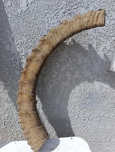 телевизионную тумбу: Набор разномастных предметов одним лотом: - Полный комплект из 6 — 2