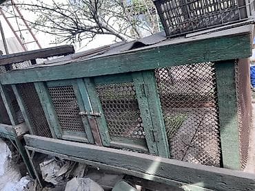 С/х животные и товары: Многоярусный уличный вольер/клетки для кроликов или птицы. - — 2