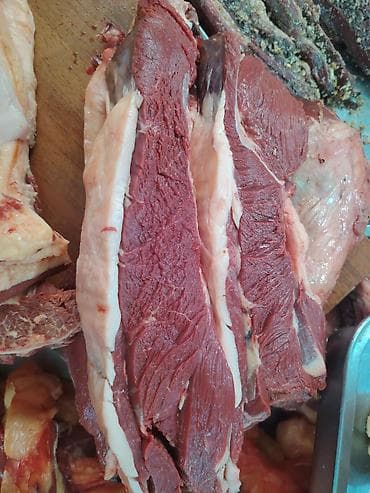 чучук купить: Чучук 1100, карын 250, карта 500 сомдон — 6