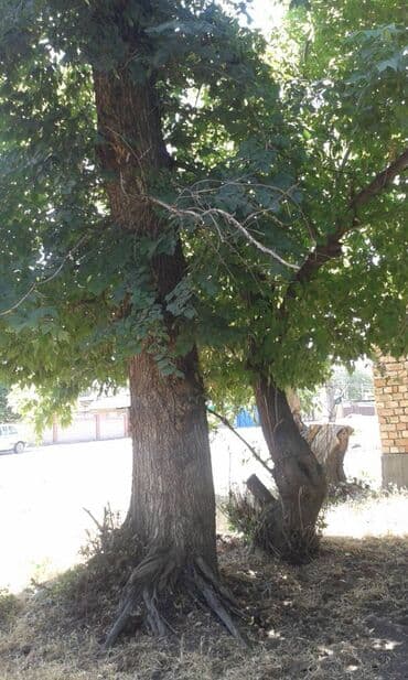 печь для отопления дома бишкек: Отун Карагач — 1