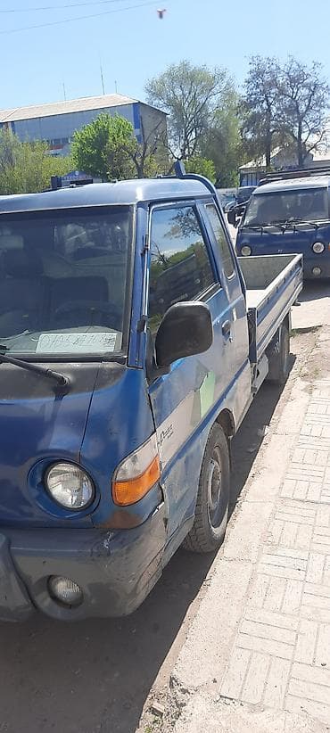 lexux 570: Легкий грузовик, Hyundai, Стандарт — 2