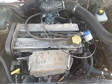 мухабойка на капот: Ford Escort: 1995 г., 1.6 л, Механика, Бензин, Хэтчбэк — 9