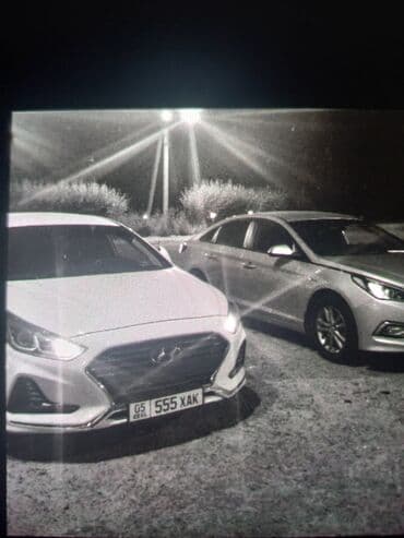 чехол для документов: Номер продаётся без сертификата — 2