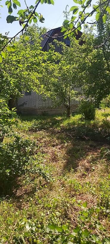 Продажа домов: Дача в Таш-Мойнок, ст. Дружба. - Участок 5 соток, ровный, ухоженная — 5