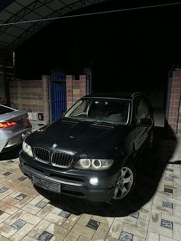 паук бмв: BMW X5: 2004 г., 3 л, Автомат, Дизель, Кроссовер — 1