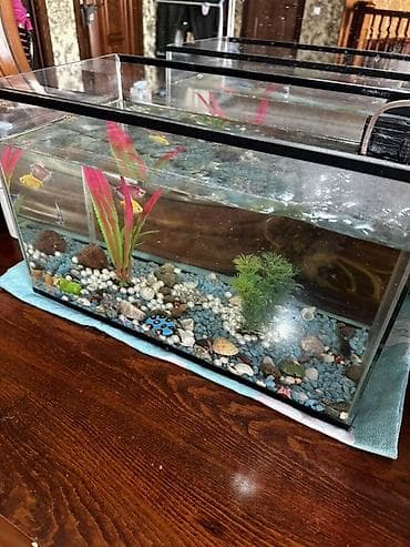 аква трейд: Аквариумный комплект для домашних рыб - Стеклянный аквариум — 2