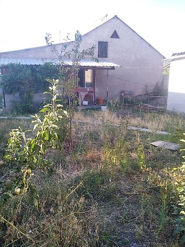 вырасти сад: Другие удобства для дома и сада — 1