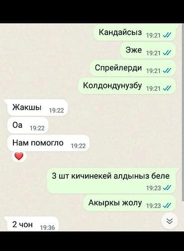 Личные вещи: Бит Сиркеге каршы «Айша» 🍀 Эн алгачкы жолу Кыргызстандын тарыхында — 10