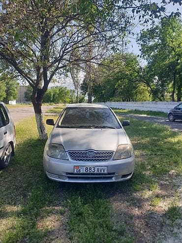Toyota Corolla: 2002 г., 1.6 л, Механика, Бензин, Седан