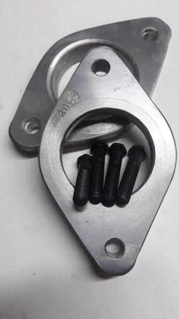 улитка ахатина купить: Койгучтар Nissan — 6