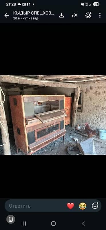 Оборудование для бизнеса: Инкубаторы для яиц + брудер/клетка для молодняка птицы Комплект — 4