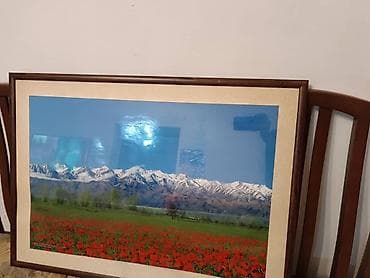 Картина/постер в раме с пейзажем гор и цветущего поля. Изображение lalafo.kg да Картина/постер в раме с пейзажем гор и цветущего поля. Изображение