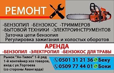 Сдам в аренду Пилы, пчелки