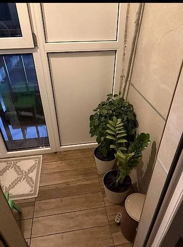 2 бөлмө, 55 м², Элитка, 13 кабат, Дизайнердик оңдоо