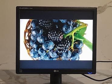 asus proart: Монитор, LG, Б/у, LCD, 17" - 18" — 2