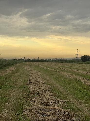 Дом и сад: Продаю тюки через день будем прессовать Клеверу 3 года с поля — 2