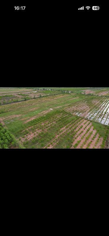 куплю поля: 400 соток, Для сельского хозяйства, Красная книга — 3