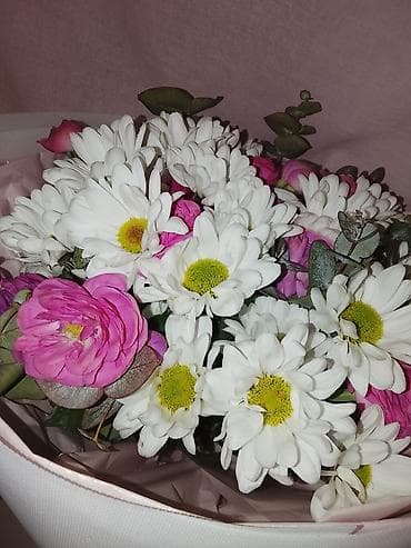 фруктовый букет: ИЩУ РАБОТУ !!!!! КЫЗЫЛ АСКЕР !!!!!ДЕВУШКА 29 ЛЕТ — 1