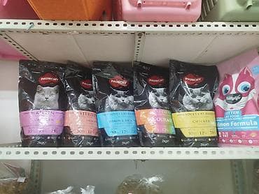 Корма для с/х животных: Kittylife Adult Sterilised Cat Food – Salmon Formula, 10 кг - Сухой — 8