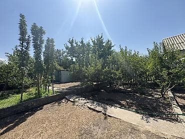 Продам дачу, собственник Сад плодородный Яблони, груши, королевский — 7