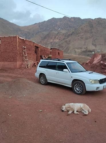 гайки на субару: Subaru Forester: 2001 г., 2 л, Автомат, Бензин, Универсал — 1