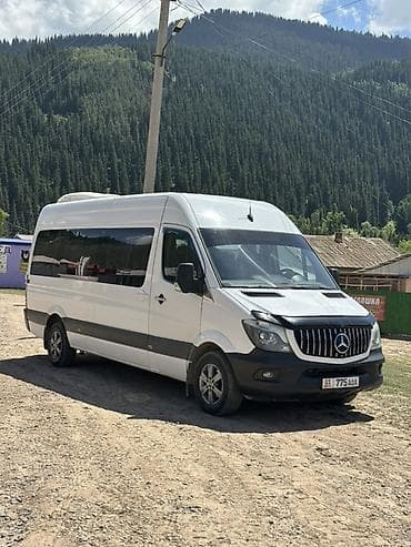 спринтери: Бус на заказ Пассажирский микроавтобус Mercedes-Benz Sprinter (длинная — 1
