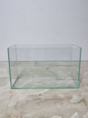 аквариумная рыбка: Прямоугольные — 11