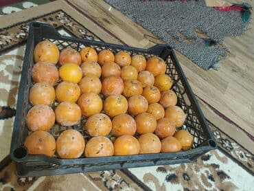 коробка для пиццы купить: Хурма, ящик - Сорт: классическая оранжевая хурма (вяжущая/сладкая по — 1