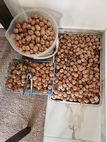 Другие товары для дома: Продаю грецкие орехи. Оптовая доставка возможна по Бишкеку и — 2