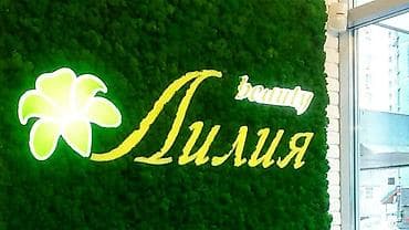 цветы комнатные оптом: Стабилизированный мох бишкек мох сфагнум бишкек стабилизированный — 1