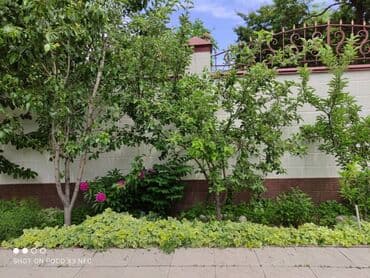 аренда домов в кок жаре: Дом, 430 м², 8 комнат — 25