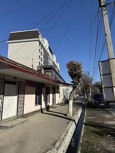 бизнес даяр: Инкубатор для птицы — производственное помещение с оборудованием — 2