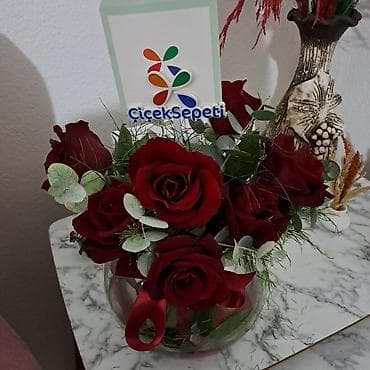 Администратор. До 1 года опыта