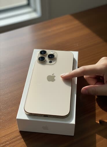 IPhone 16 Pro Max, Б/у, 256 ГБ, Desert Titanium, Чехол, Кабель, Коробка, 99 %