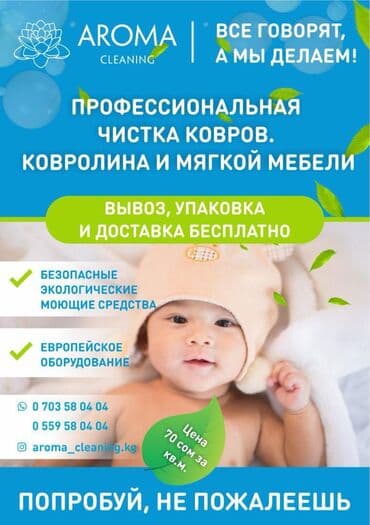 купить оборудование для стирки ковров: Стирка ковров, | Ала-кийиз, Палас, Шырдак, Бесплатная доставка — 1