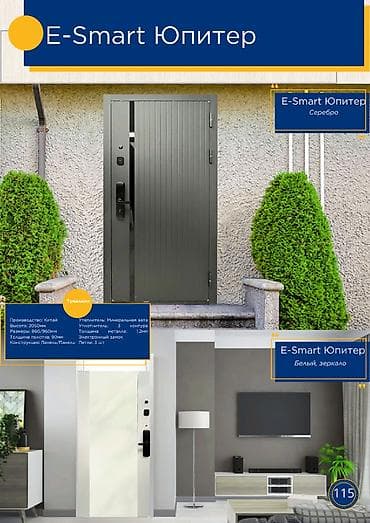 Двери для домов и квартир, Металлическая, Одностворчатая, Китайская, С зеркалом, цвет - Серебристый