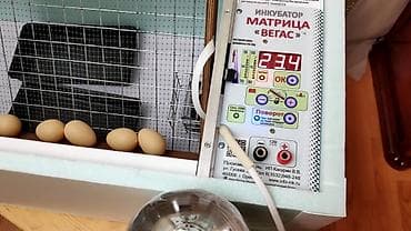 Килем жуучу аппараттар: Инкубатор Матрица “ВЕГАС” – Инкубатор предназначен для вывода — 3