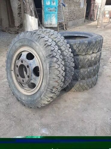 шины бишкек дордой: Предлагаются к продаже шины для различных видов техники. На — 41